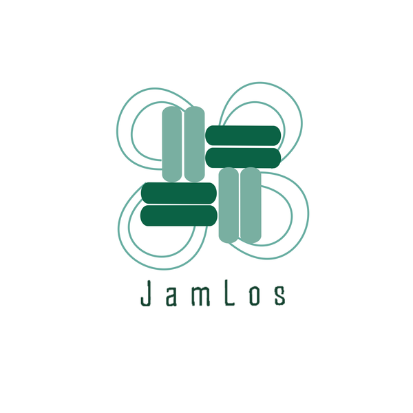 định hướng logo jamlos