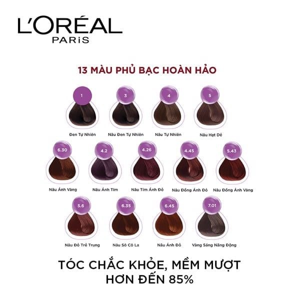 Kem Nhuộm Dưỡng Tóc L'Oréal Excellence Fashion Hair Color Cream - 4.2 Nâu  Ánh Tím (172ml)