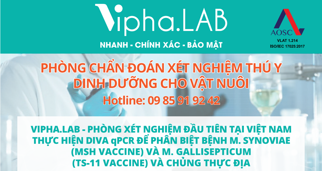 Vipac Test Lab VIPHA.LAB - PHÒNG XÉT NGHIỆM ĐẦU TIÊN TẠI VIỆT NAM THỰC HIỆN DIVA qPCR ...