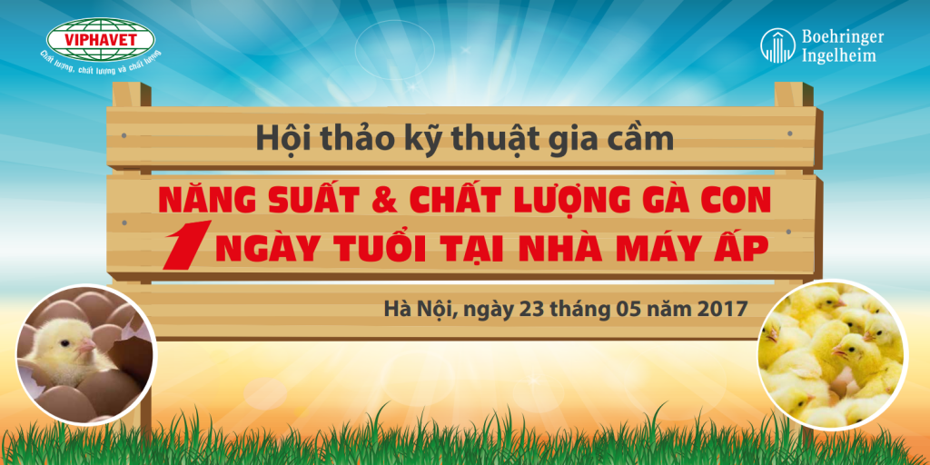 HỘI THẢO KỸ THUẬT GIA CẦM: NĂNG SUẤT VÀ CHẤT LƯỢNG GÀ CON 1 NGÀY TUỔI TẠI NHÀ MÁY ẤP