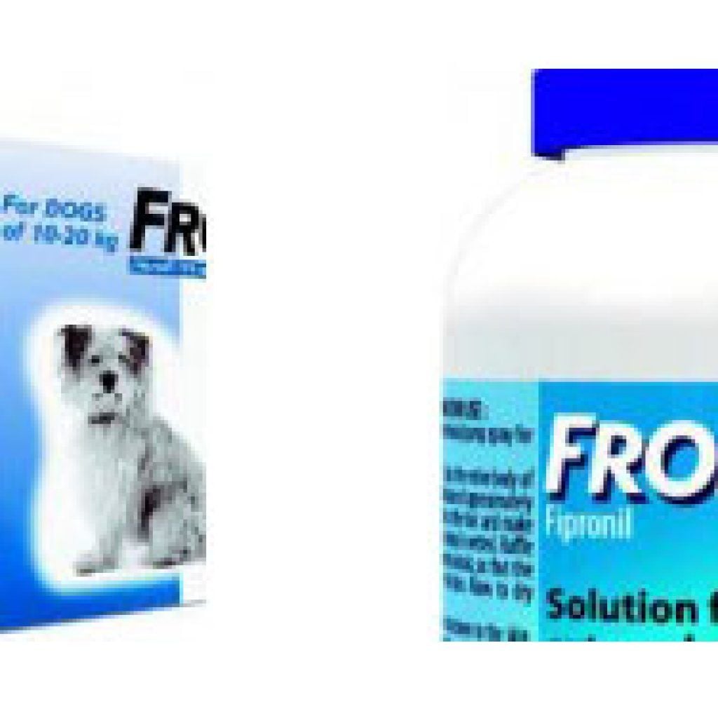 NHỮNG CÂU HỎI VỀ FRONTLINE®
