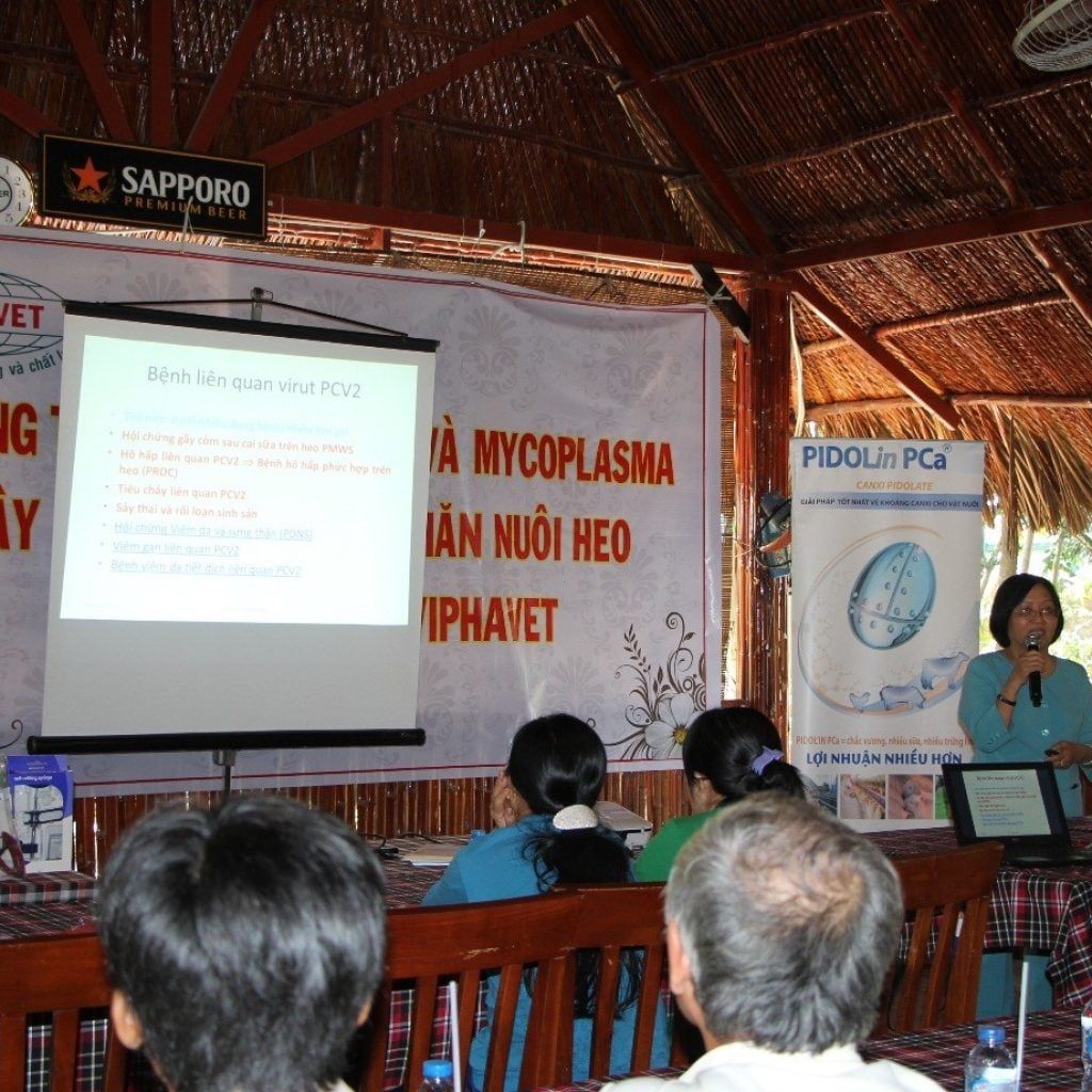 HỘI THẢO “NHỮNG THIỆT HẠI DO PCV2 VÀ MYCOPLASMA GÂY RA TRONG NGÀNH CHĂN NUÔI HEO VÀ GIẢI PHÁP CỦA VIPHAVET”