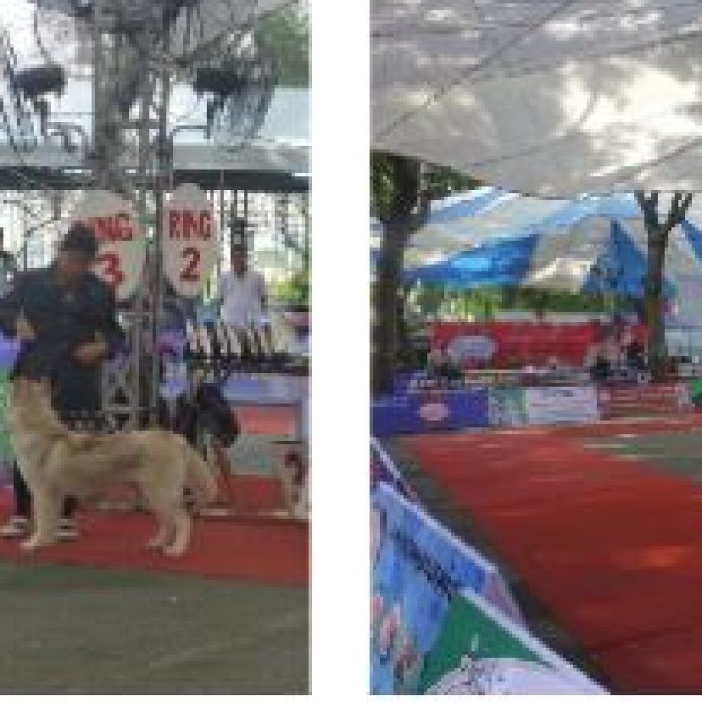 DOG SHOW 2014 – CHƯƠNG TRÌNH BÁN HÀNG ƯU ĐÃI