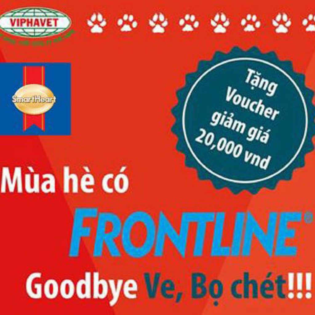CHƯƠNG TRÌNH: “HÈ CÓ FRONTLINE GOOD BYE VE BỌ CHÉT” CỦA VIPHAVET ĐỒNG HÀNH VỚI SMART HEART ME-O ” VUI ĐÓN HÈ- BẠN BÈ GẮN KẾT”
