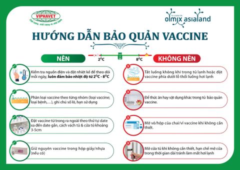 HƯỚNG DẪN BẢO QUẢN VACCINE