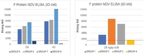 Biểu đồ kháng thể ND của các nhóm thử nghiệm