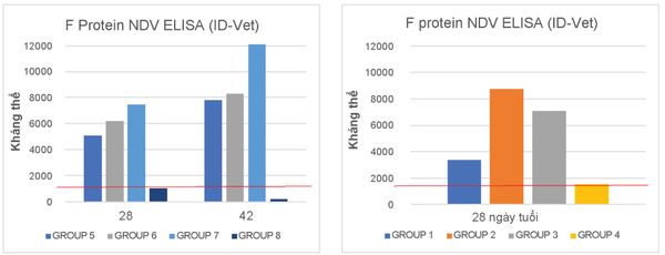 Biểu đồ kháng thể ND của các nhóm thử nghiệm