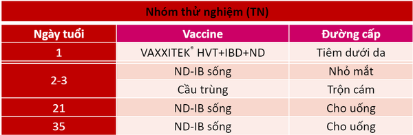 Chương trình vaccine của nhóm TN và nhóm ĐC