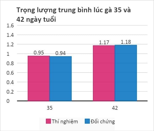 Trọng lượng trung bình lúc gà 35 và 42 ngày tuổi