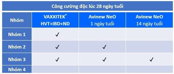 Chương trình vaccine của các nhóm thử nghiệm