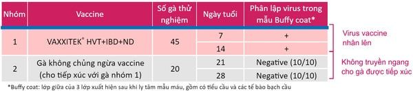 Đánh giá sự bài thải virus và truyền ngang của VAXXITEK® HVT+IBD+ND