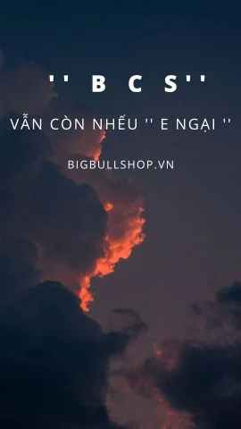 Còn Ngại ?