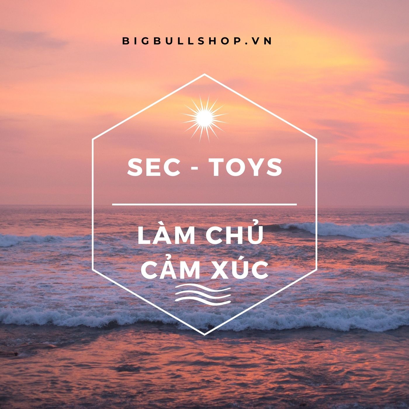 Sex Toys Làm chủ cảm xúc ...