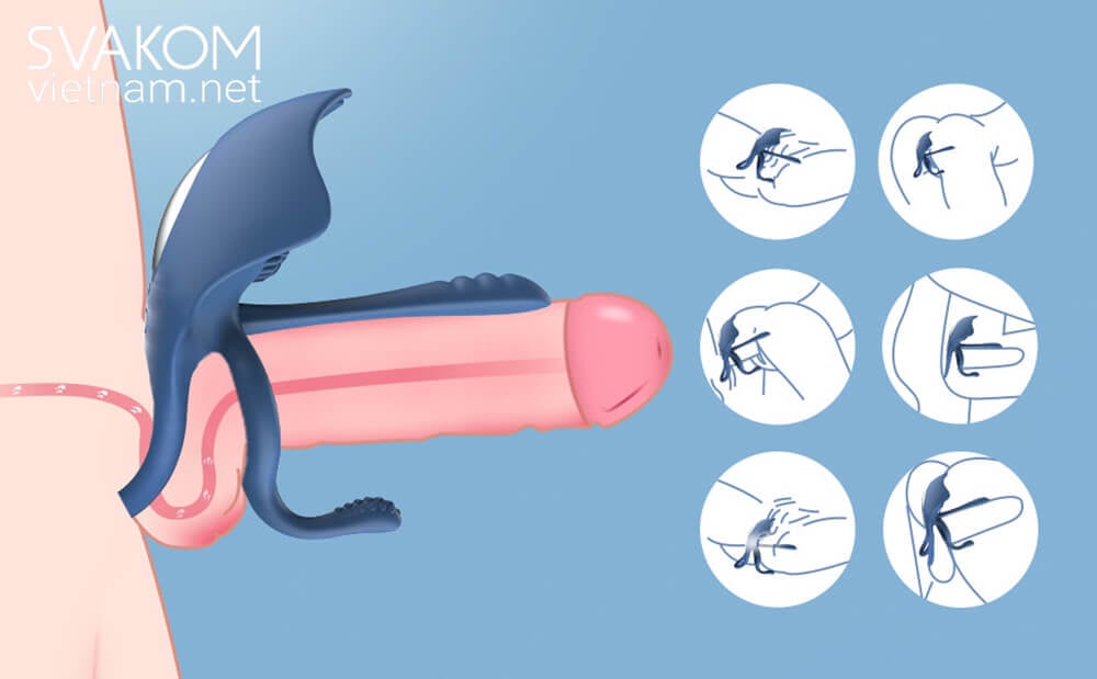 Cock ring SVAKOM Barzillai - Vòng Đeo Dương Vật