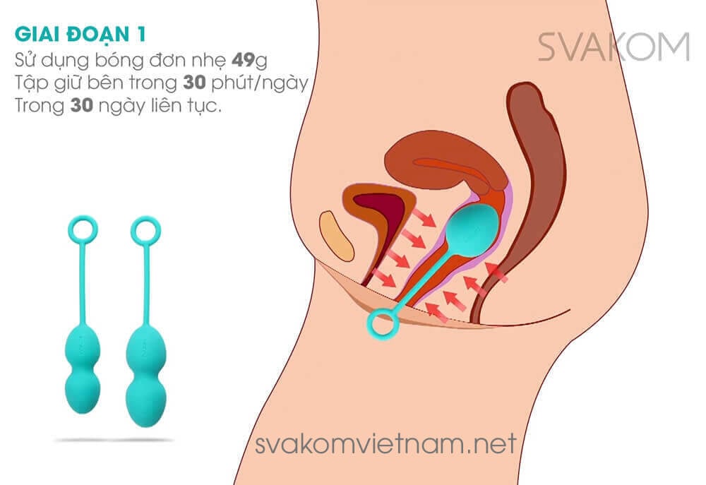 SVAKOM Nova