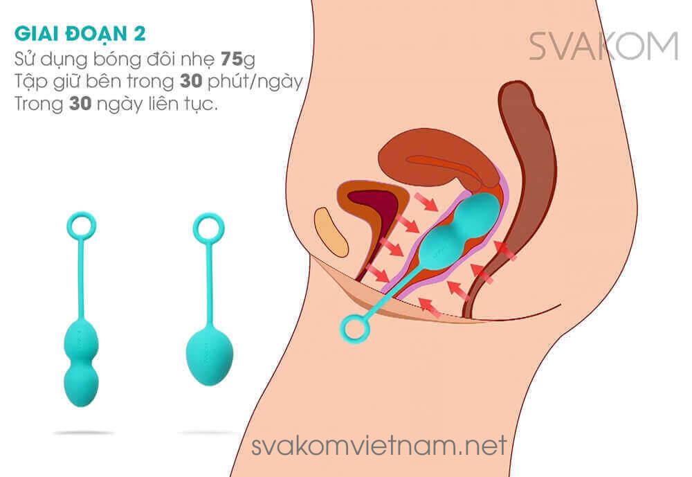 SVAKOM Nova