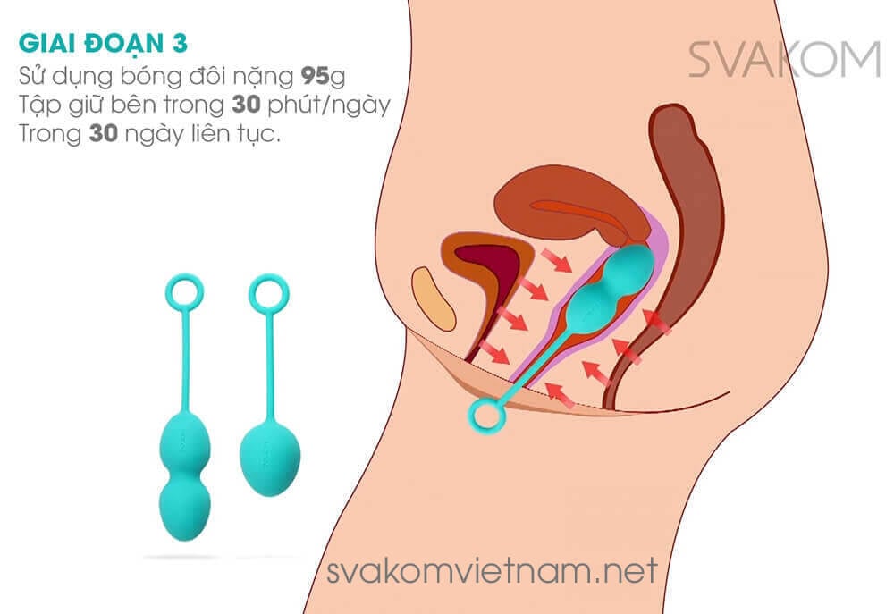 SVAKOM Nova