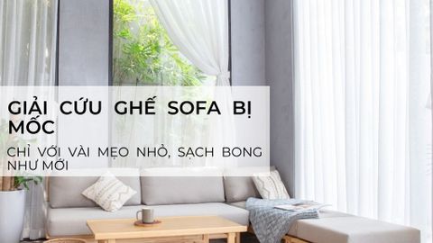 Giải Cứu Ghế Sofa Bị Mốc Chỉ Với Một Vài Mẹo Nhỏ – Sạch Bong Như Mới