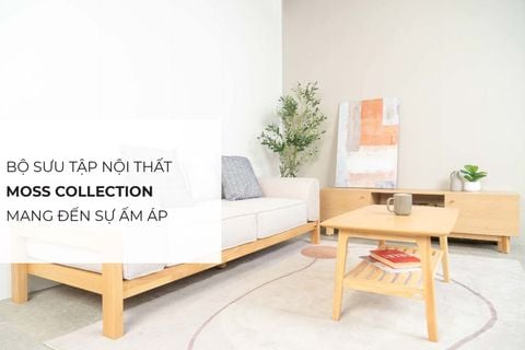 Bộ Sưu Tập Nội Thất MOSS - Mang Đến Sự Ấm Áp