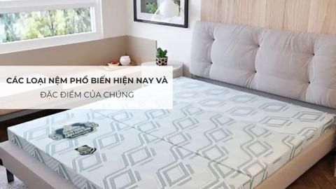 Các Loại Nệm Phổ Biến Hiện Nay Và Đặc Điểm Của Chúng
