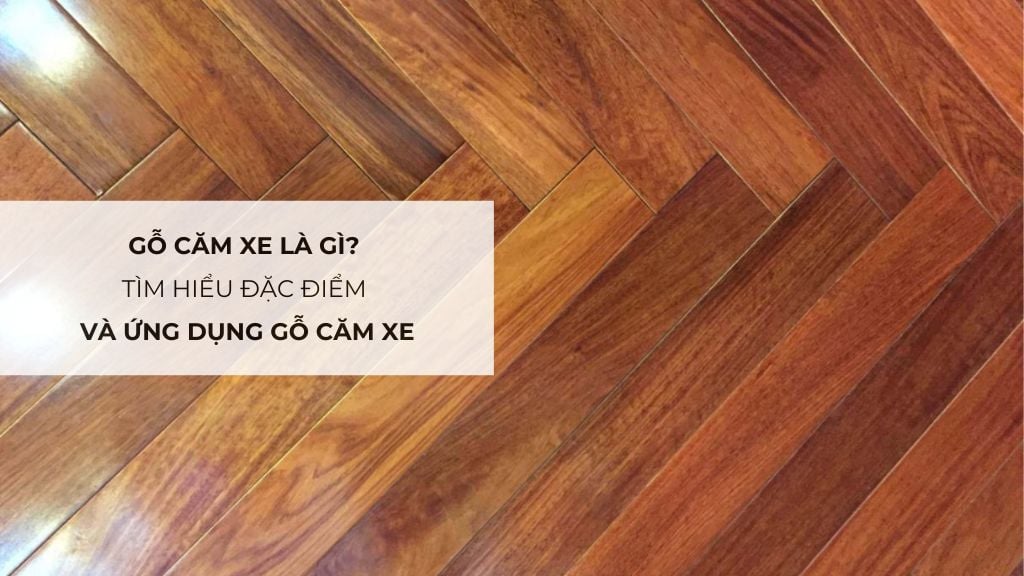 Gỗ Căm Xe Là Gì? Tìm Hiểu Đặc Điểm Và Ứng Dụng Gỗ Căm Xe