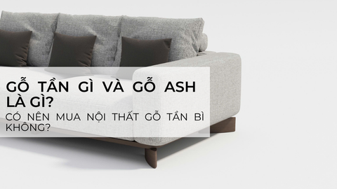 Gỗ Tần Bì hoặc gỗ Ash là gì? Có nên mua nội thất gỗ Tần Bì không?