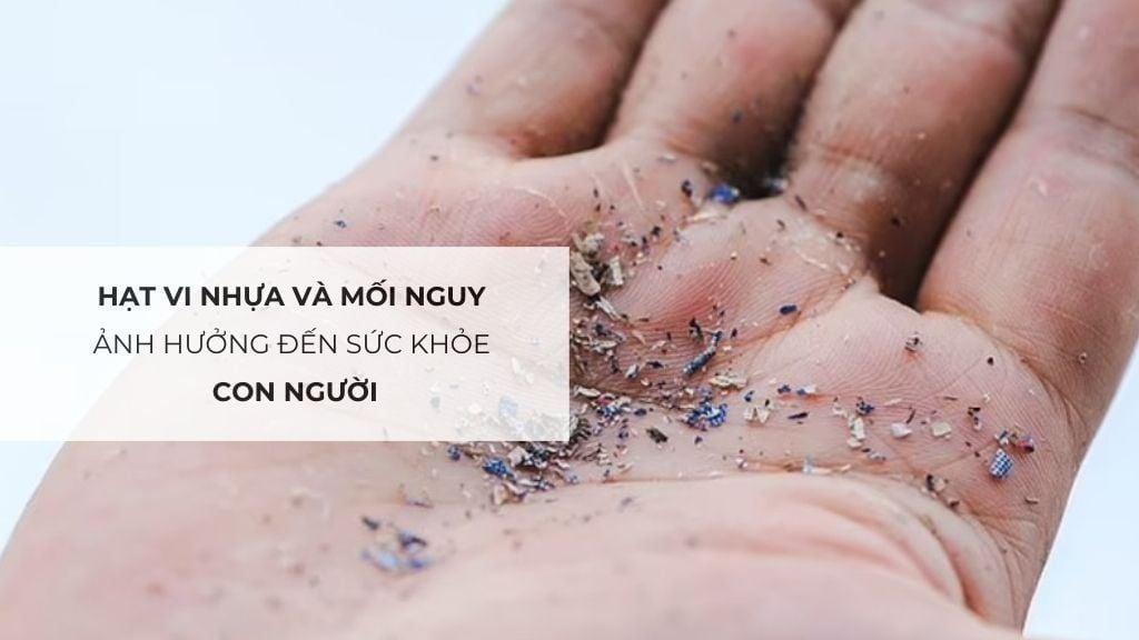 Hạt vi nhựa và mối nguy ảnh hưởng đến sức khỏe con người