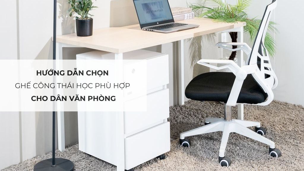 Hướng dẫn chọn ghế công thái học phù hợp cho dân văn phòng