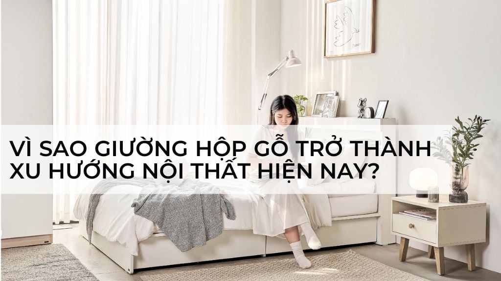 Vì Sao Giường Hộp Gỗ Đang Trở Thành Xu Hướng Nội Thất Hiện Nay?