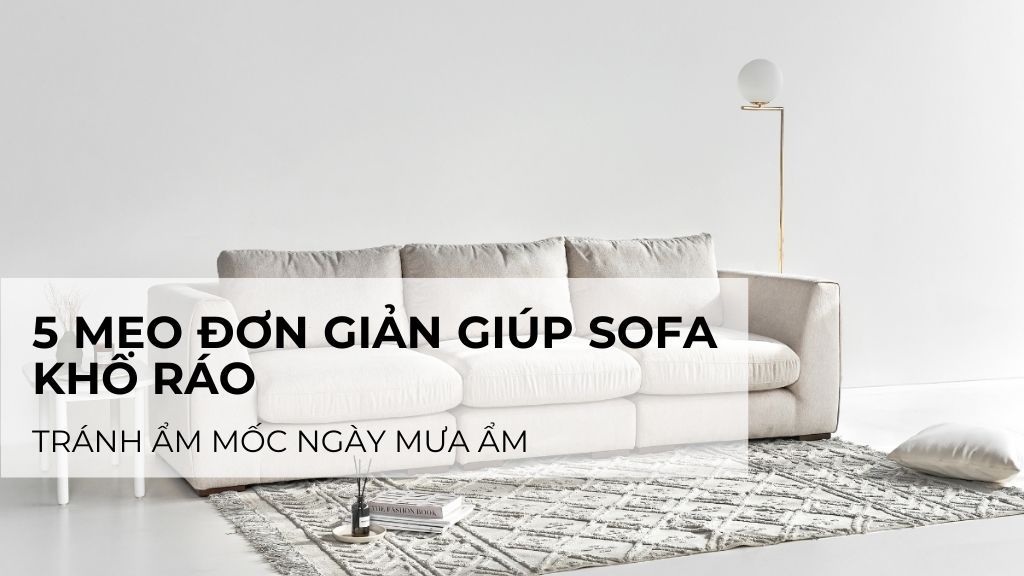 5 mẹo đơn giản giúp sofa khô ráo, tránh ẩm mốc ngày mưa ẩm