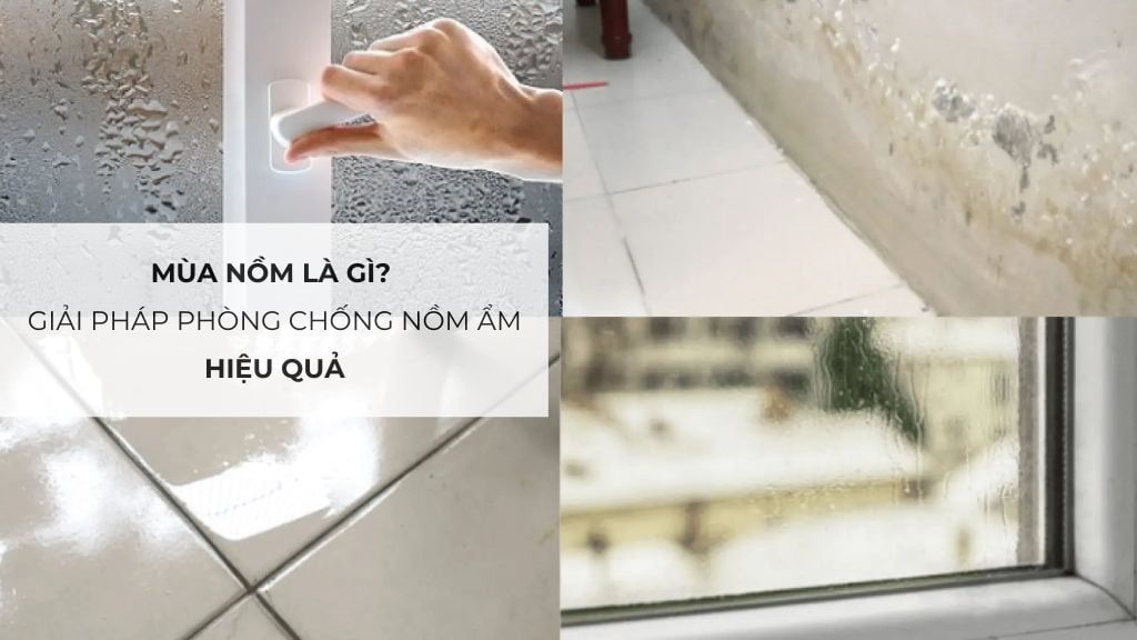 Mùa nồm là gì? Giải pháp phòng chống nồm ẩm hiệu quả