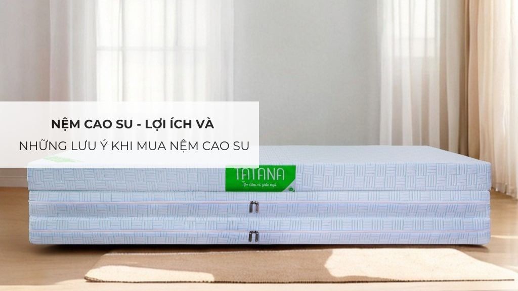 Nệm Cao Su - Lợi Ích Và Những Lưu Ý Khi Mua Nệm Cao Su