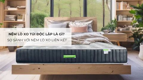 Nệm Lò Xo Túi Độc Lập Là Gì? So Sánh Với Nệm Lò Xo Liên Kết