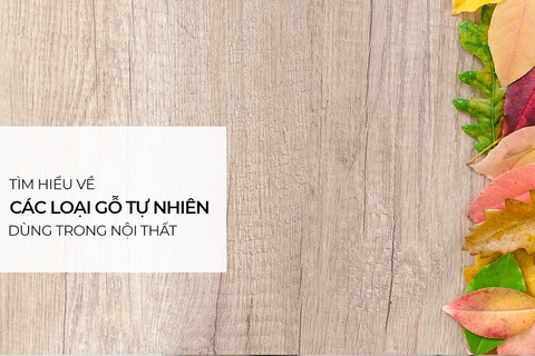 Các loại gỗ tự nhiên thông dụng làm đồ nội thất