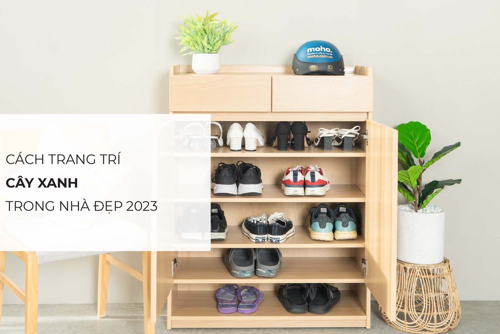 Cách trang trí cây xanh trong nhà đẹp, phù hợp 2023