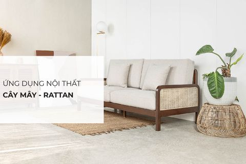 Ứng dụng nội thất từ cây mây – Rattan