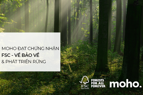 Nội thất MOHO đạt chứng nhận FSC - Bảo vệ và phát triển rừng