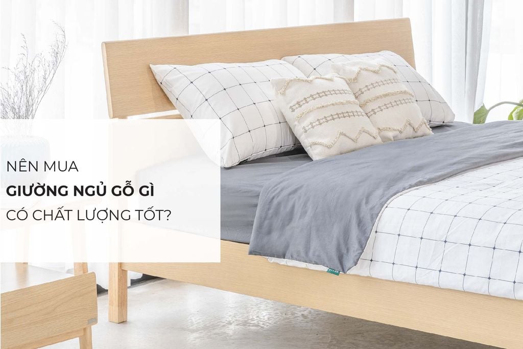 Nên mua giường ngủ gỗ gì có chất lượng tốt?