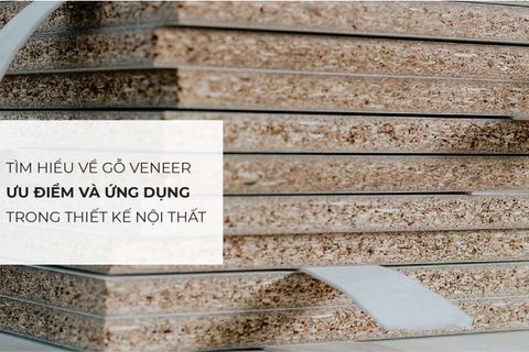 Tìm hiểu gỗ veneer là gì? Ưu điểm và ứng dụng trong thiết kế nội thất