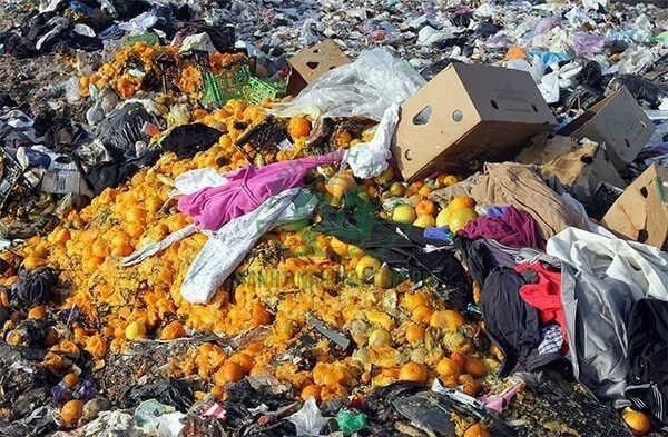 Bãi rác sinh hoạt với rác nhựa và rác thải hữu cơ