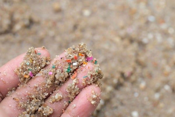 Các loại hạt vi nhựa với nhiều màu sắc và hình dạng khác nhau