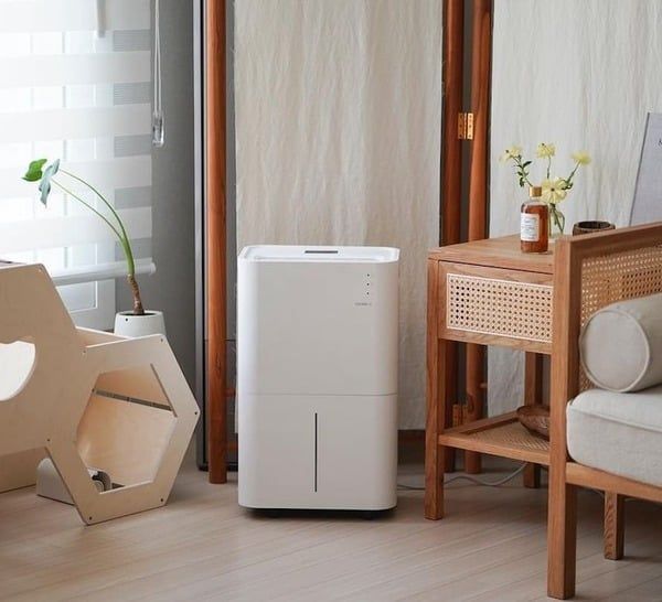 Máy hút ẩm là nội thất không thể thiếu
