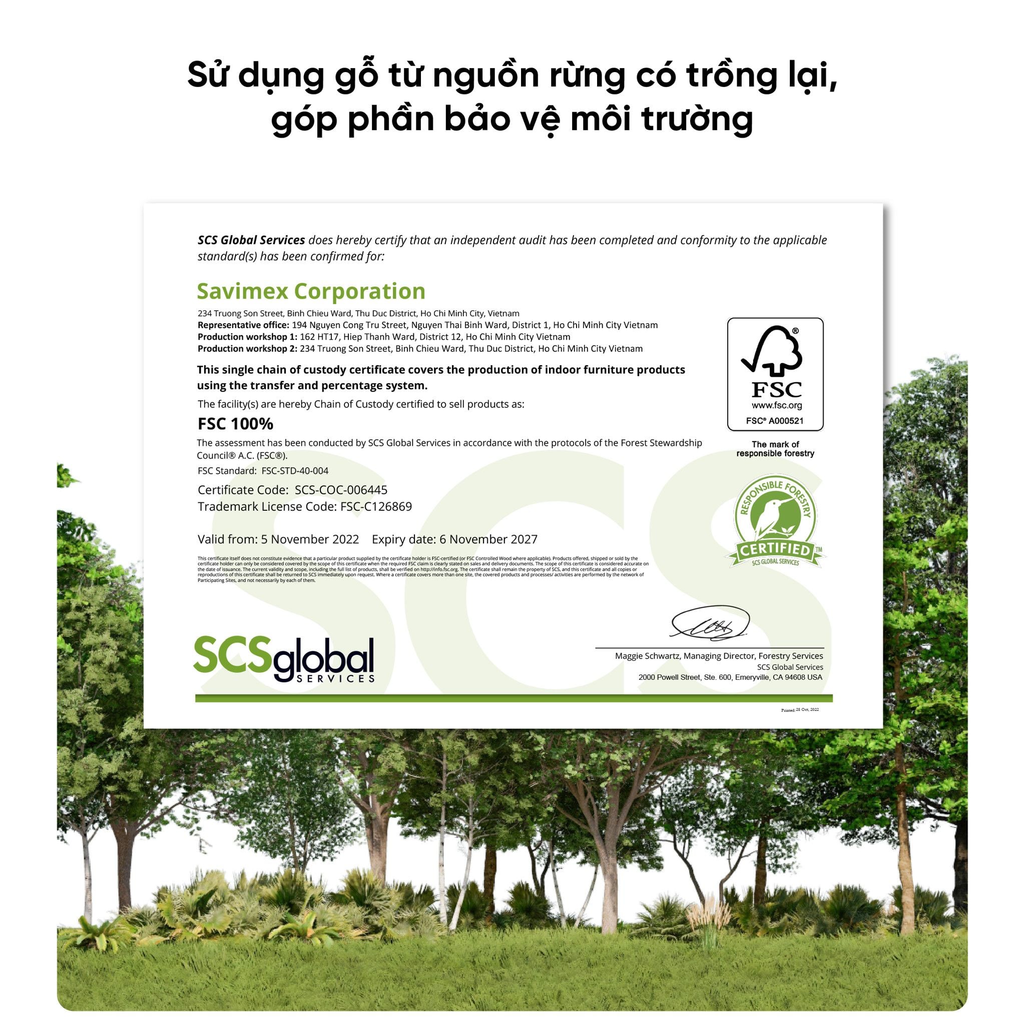 Nội dung sản phẩm giường gỗ VLINE nat