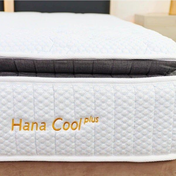 Hình ảnh bài viết