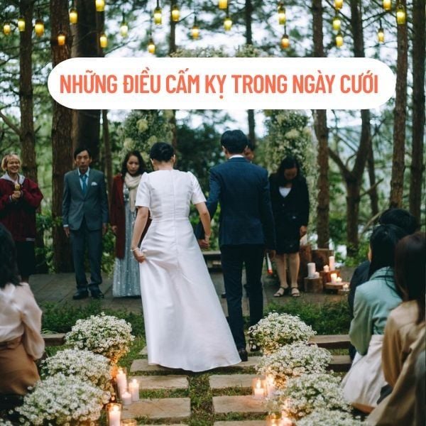 Hình ảnh bài viết