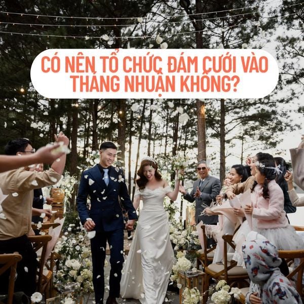 Hình ảnh bài viết