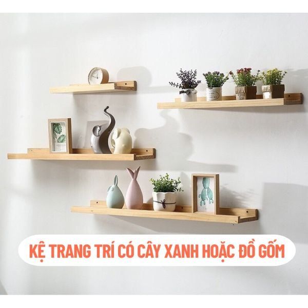 Hình ảnh bài viết