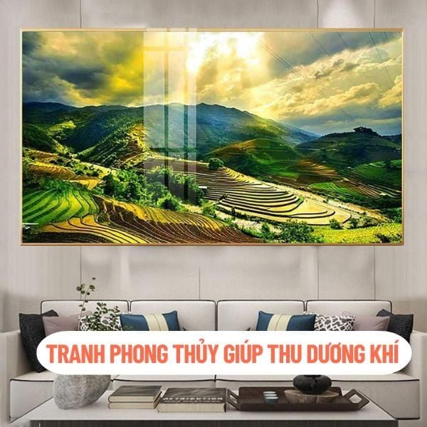 Hình ảnh bài viết