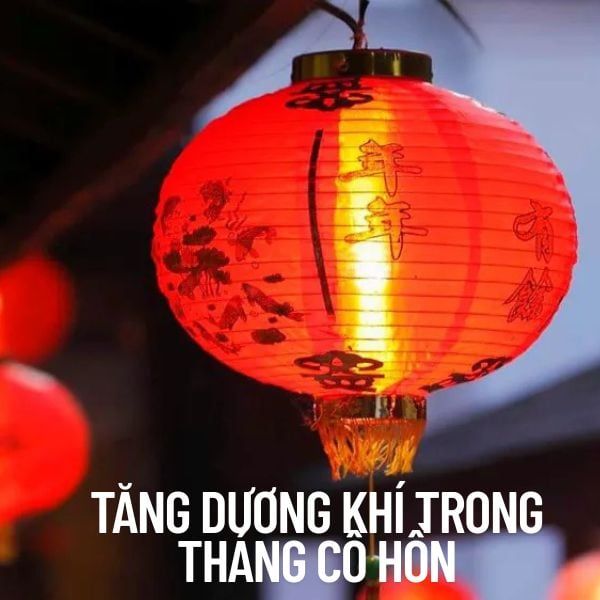 Hình ảnh bài viết