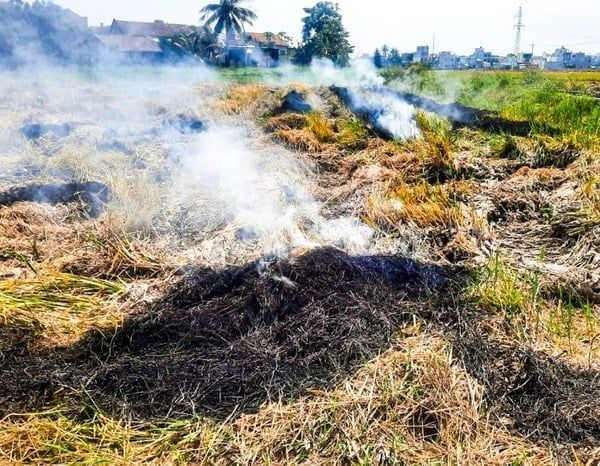 Nguồn gây ô nhiễm nguồn không khí chính tại Việt Nam